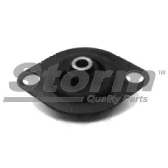 Support moteur Storm OEM SE141154805A