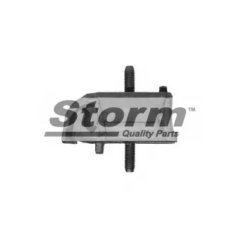 Support moteur Storm OEM 6203710