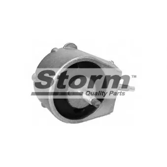 Support moteur Storm OEM 7700769720
