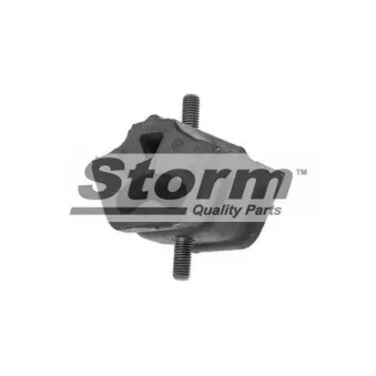 Support moteur Storm OEM 823199381B