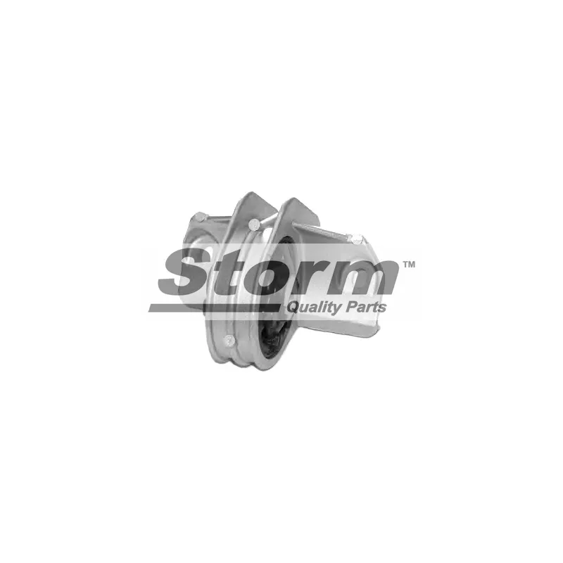 Support moteur Storm F0775 - Visuel 1