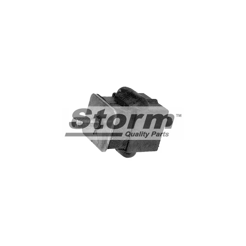 Support moteur Storm F1036 - Visuel 1