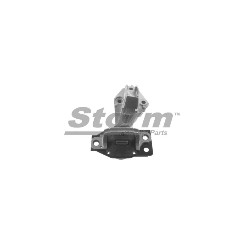 Support moteur Storm F10609 - Visuel 1