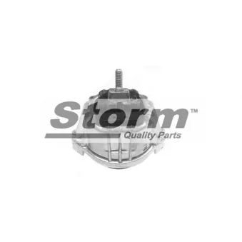 Support moteur Storm OEM 22116768853