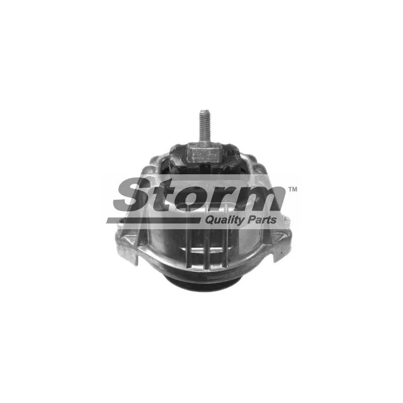 Support moteur Storm F10632 - Visuel 1