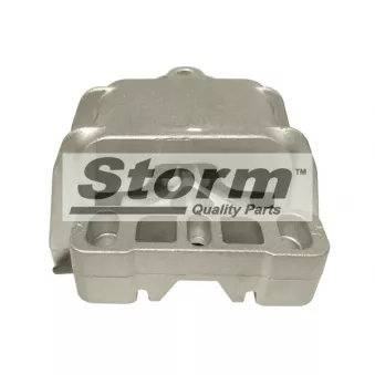 Support moteur Storm OEM 1J0199262BK
