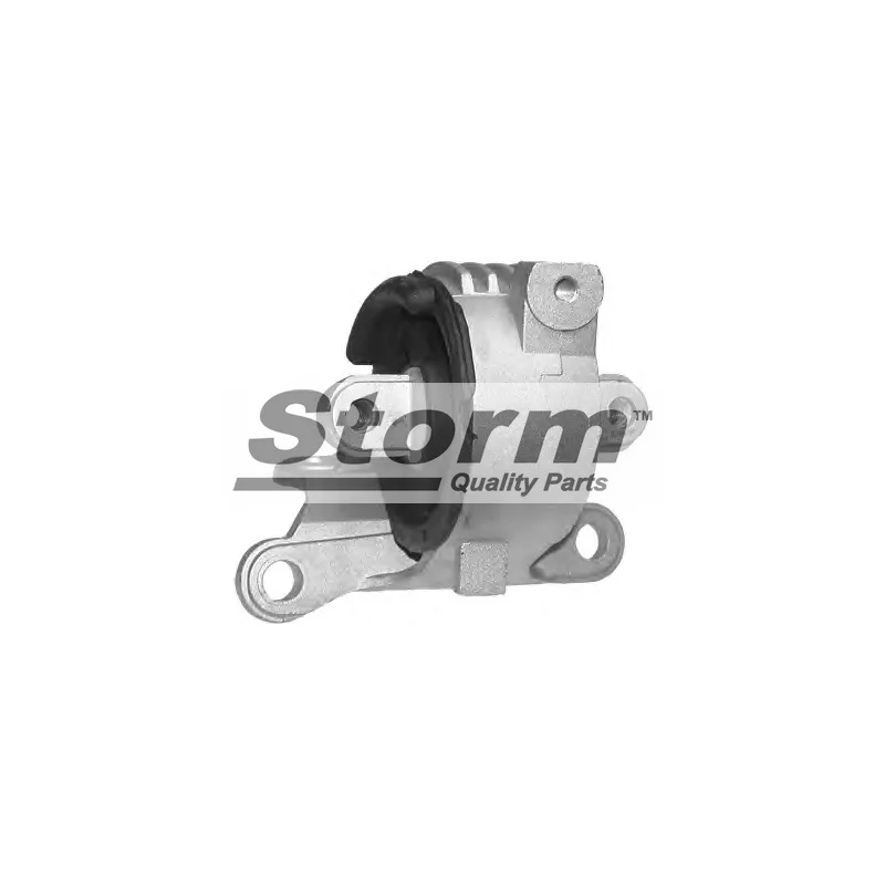 Support moteur Storm F1273 - Visuel 1
