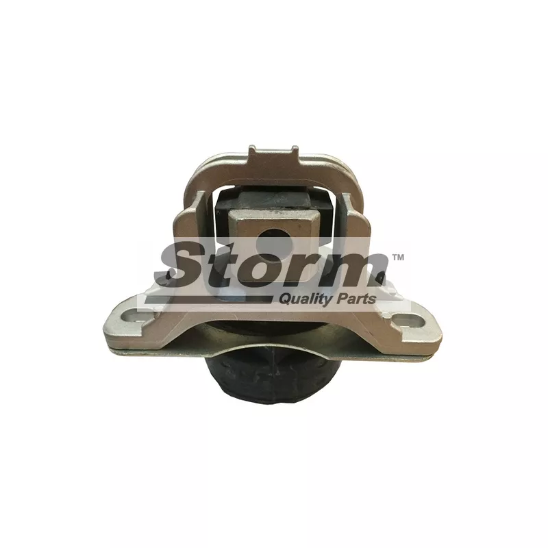 Support moteur Storm F1438 - Visuel 1