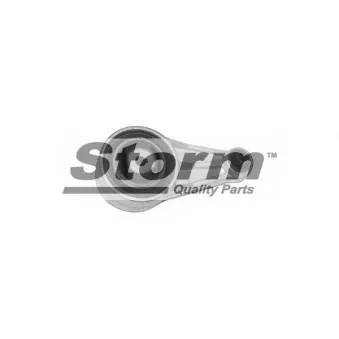 Support moteur Storm OEM 7700414267