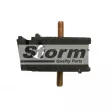Support moteur Storm [F1558]