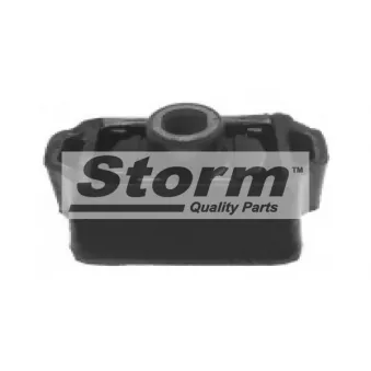 Storm F1667 - Support moteur