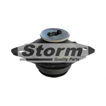 Support moteur Storm OEM 191199381