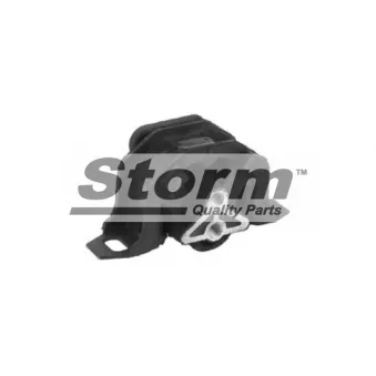 Support moteur Storm OEM 6845223