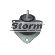 Storm F1999 - Support moteur