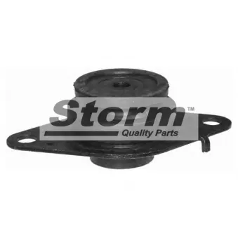 Storm F2000 - Support moteur