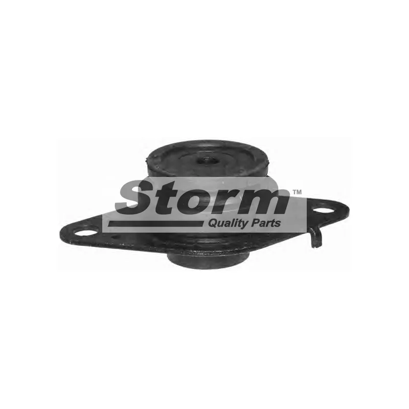 Support moteur Storm F2000 - Visuel 1