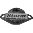 Storm F2017 - Support moteur