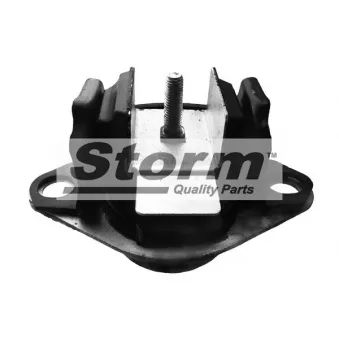 Support moteur Storm OEM 7700437391