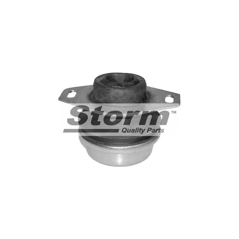 Support moteur Storm F2240 - Visuel 1