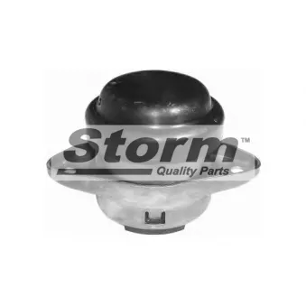 Storm F2256 - Support moteur