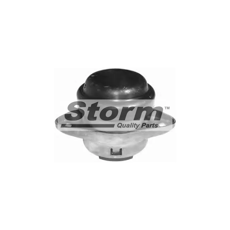 Support moteur Storm F2256 - Visuel 1