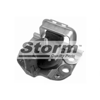 Support moteur Storm OEM 7700818994