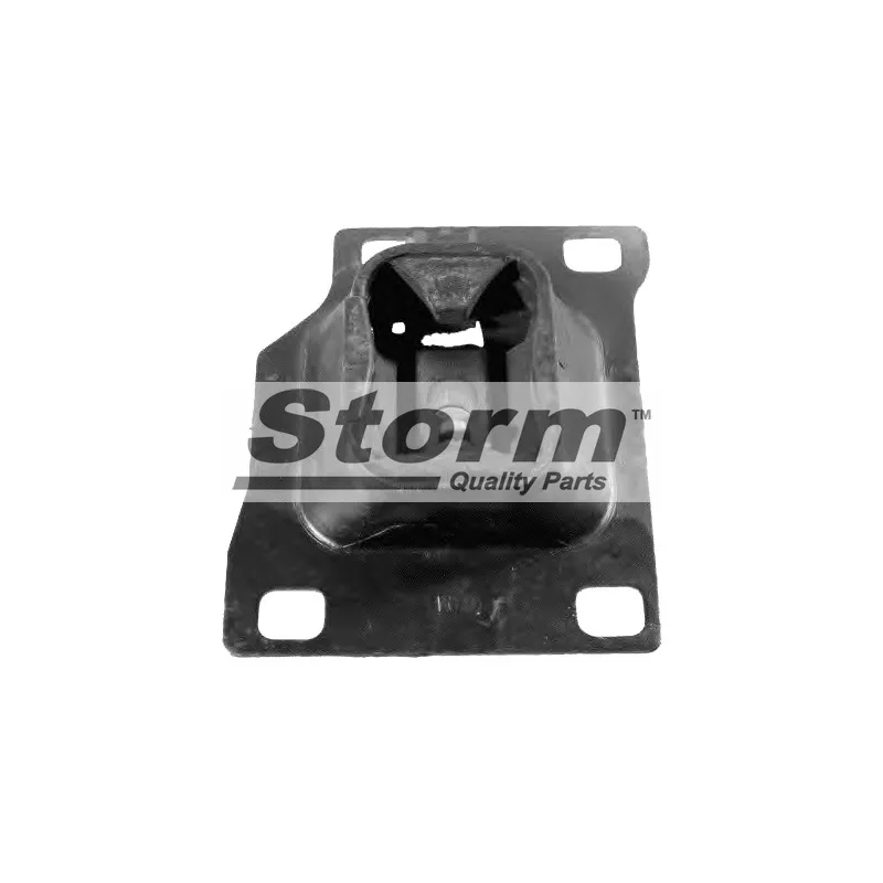 Support moteur Storm F2495 - Visuel 1