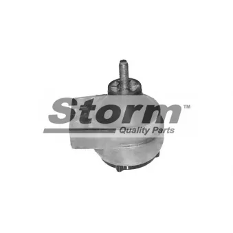 Support moteur Storm OEM 1061111