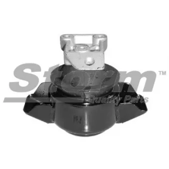 Support moteur Storm OEM 191199262C
