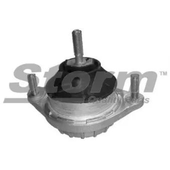 Support moteur Storm OEM 8A0199379B