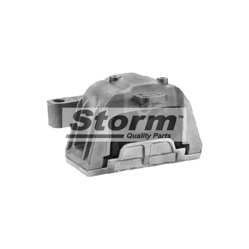 Support moteur Storm F2571 - Visuel 1