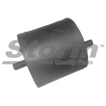 Support moteur Storm OEM 11811133364
