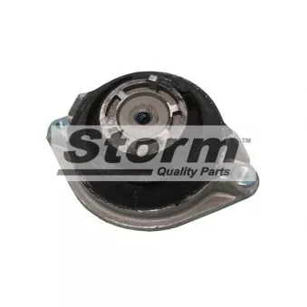 Support moteur Storm OEM 1402401217