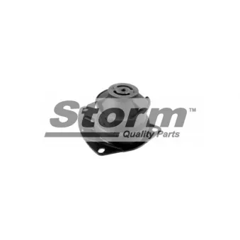 Support moteur Storm OEM 6N0199262K