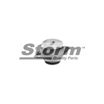 Support moteur Storm OEM 357199381A