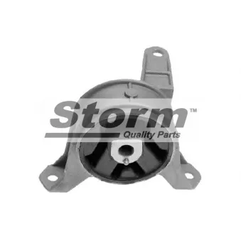 Support moteur Storm OEM 5684051