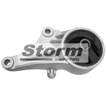 Support moteur Storm OEM 0684226