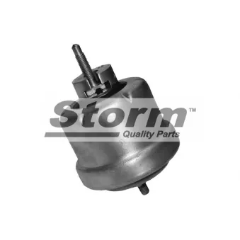 Support moteur Storm OEM 684670