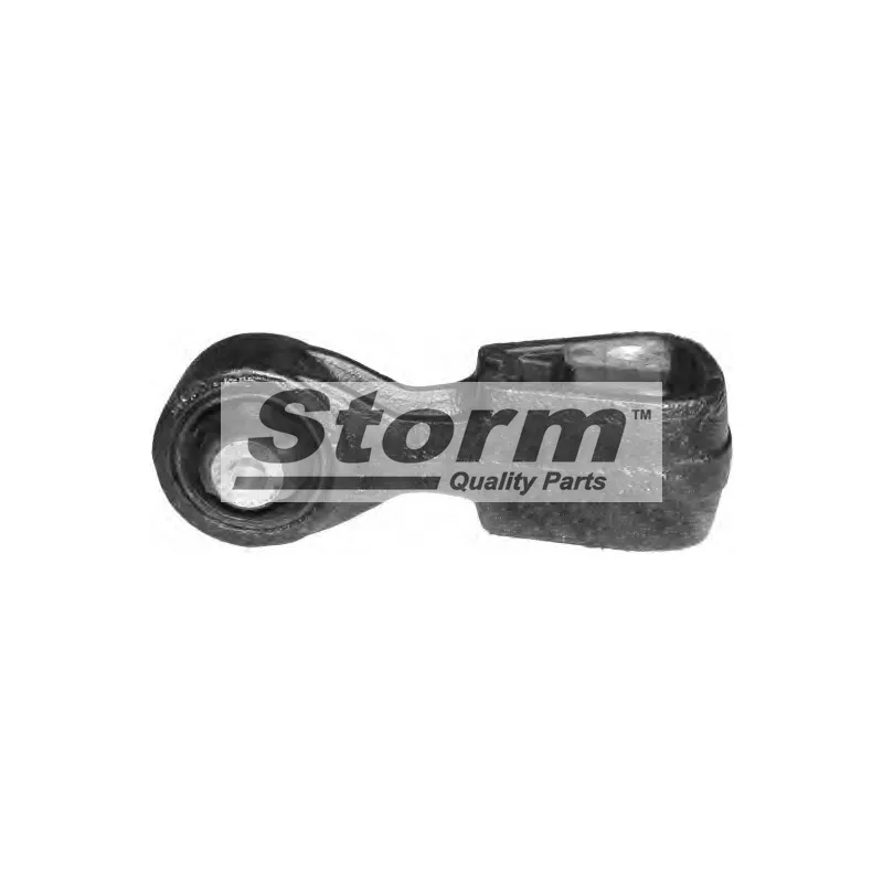 Support moteur Storm F4005 - Visuel 1