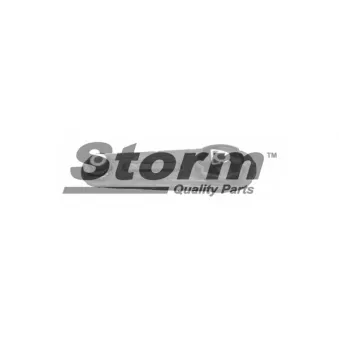 Support moteur Storm OEM 112387053R