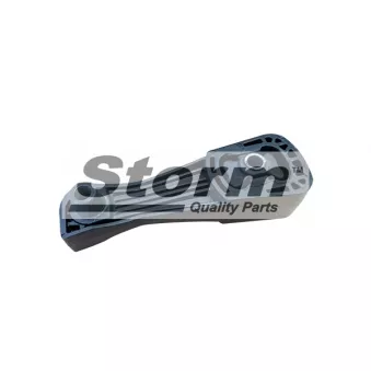 Support moteur Storm OEM 7700315024