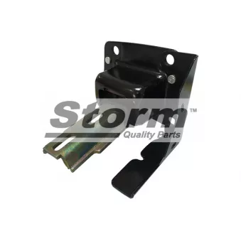 Support moteur Storm OEM 181380
