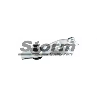 Support moteur Storm OEM 8200250743