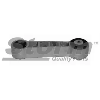 Support moteur Storm OEM 6025304389 Support moteur Storm OEM 6025304389