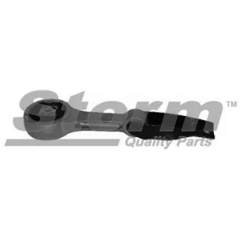 Support moteur Storm OEM 6Q0199851AC
