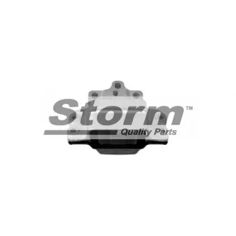Support moteur Storm OEM 1K0199555R