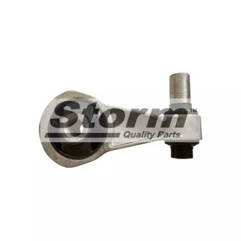 Support moteur Storm OEM 46552759