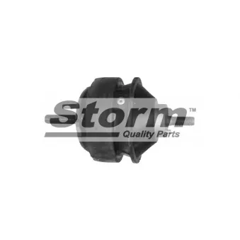 Support moteur Storm OEM 7354180