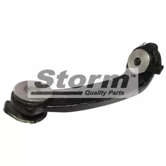 Support moteur Storm OEM 8200000515