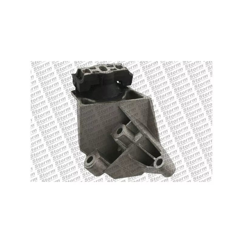 Support moteur Storm F4981 - Visuel 1